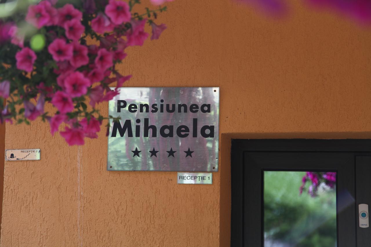 פויאנה ברשוב Pensiunea Mihaela מראה חיצוני תמונה